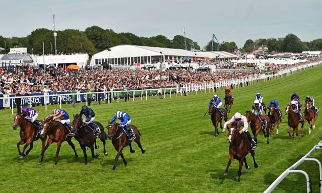 Sovereign causes Irish Derby upset