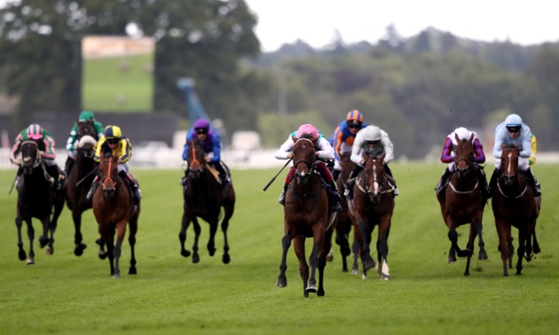 Phoenix of Spain dominates favourites in 2000 Guineas