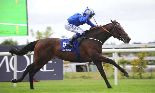 Sovereign causes Irish Derby upset