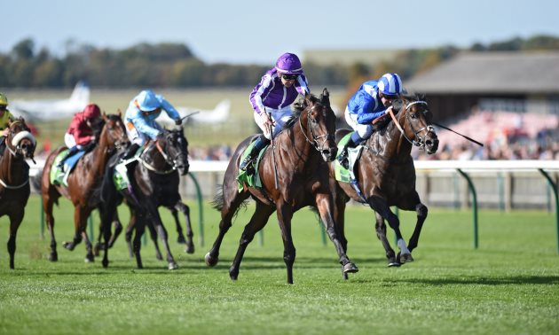 Guineas: Hermosa wins to give trainer Aidan O'Brien a weekend double