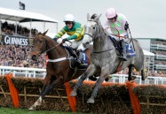 ap mccoy ruby wash cheltenham festival