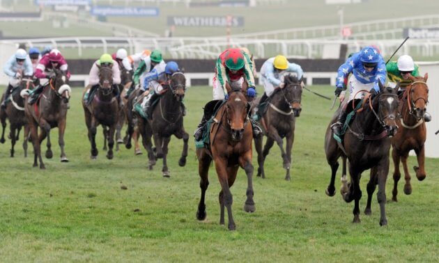 cheltenham champion bumper