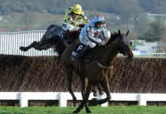 cheltenham festival chase