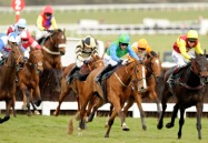 cheltenham festival chasers action