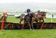 cheltenham hurdle captain chris
