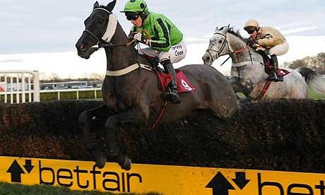 Horse racing action shot.