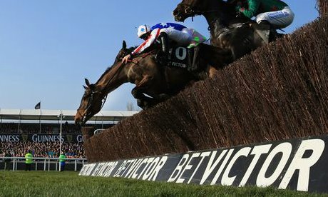 Horse racing action shot.
