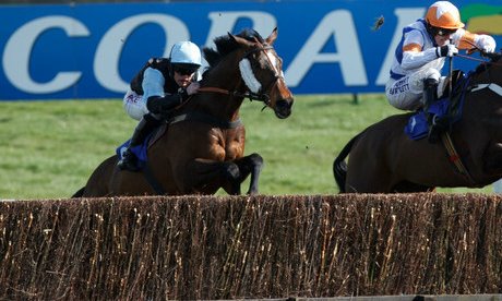 Horse racing action shot.