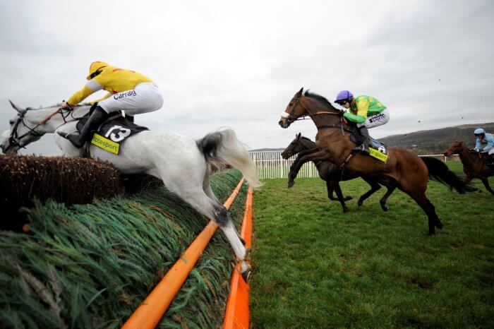 Kauto Star puts in a mighty leap behind Neptune Collonges, in the 2009 Gold Cup.