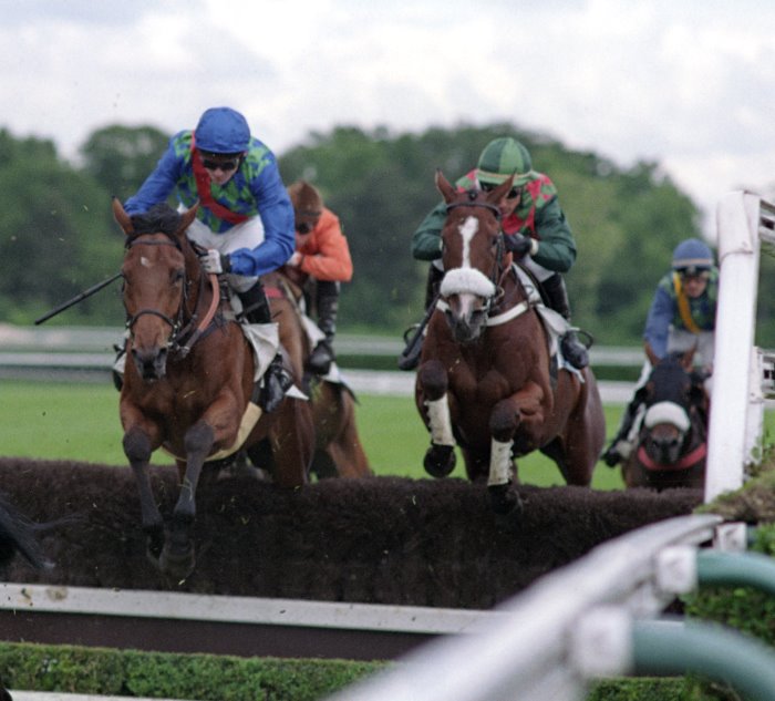 UCELLO CONTI (FR) Grand National 2018