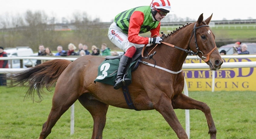DEFINITLY RED (IRE) Grand National 2018