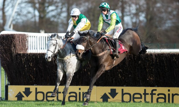 VINTAGE CLOUDS (IRE) Grand National 2018