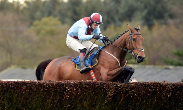 BALLYOPTIC (IRE) Grand National 2018