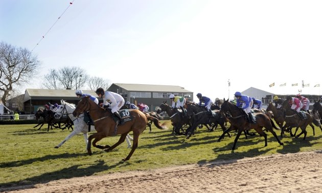 CAPTAIN REDBEARD (IRE) Grand National 2018