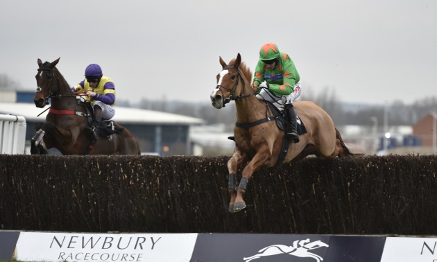 Ms Parfois running at Newbury.