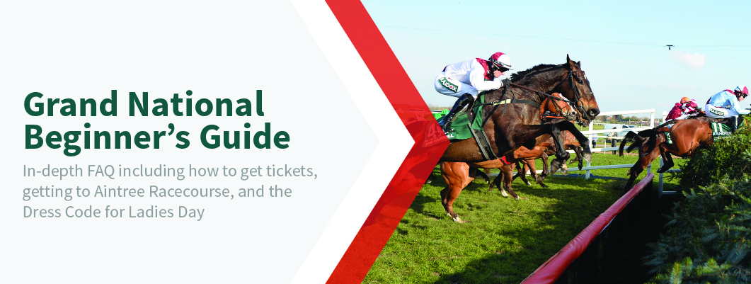 any second now horse grand national odds