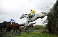 Grand National 2012 Race Results