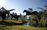 Grand National 2013 Race Results