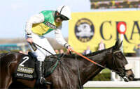 Grand National 2015 Race Results