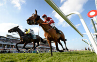 Grand National 2018 Race Results