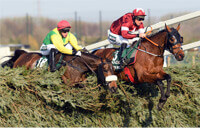 Grand National 2019 Race Results