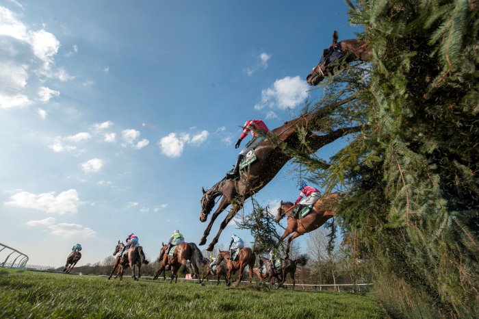 grand national free bets 2021