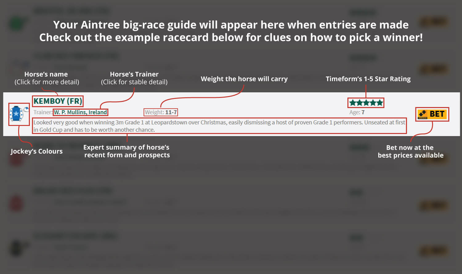 Grand National Festival racecard.