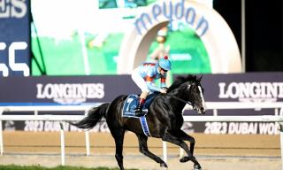 2023 Timeform Global Rankings
