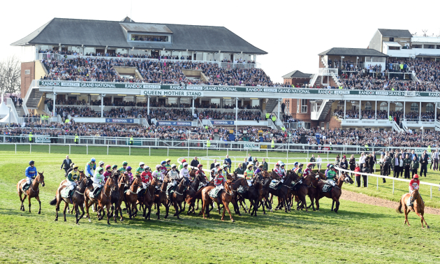 100 1 Grand National Winner