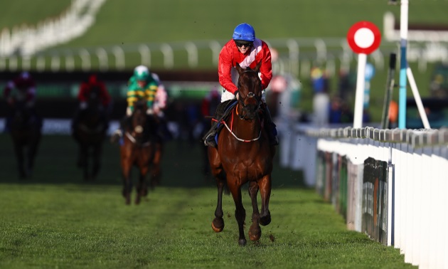 Cheltenham news