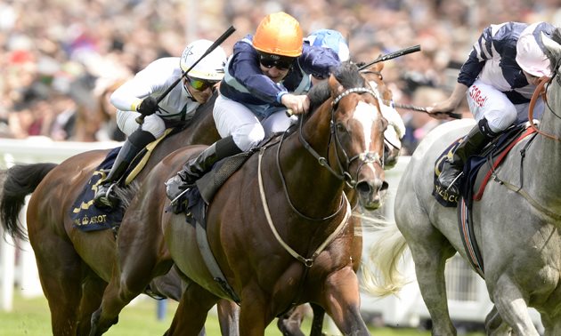 royal ascot news