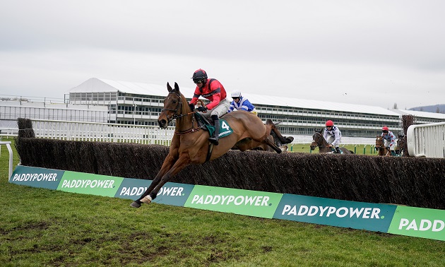 Cheltenham news