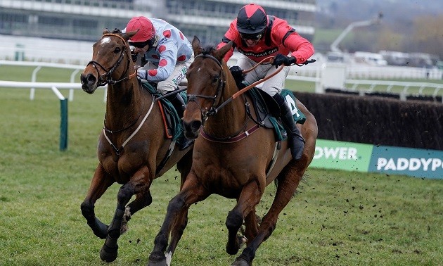 Cheltenham news