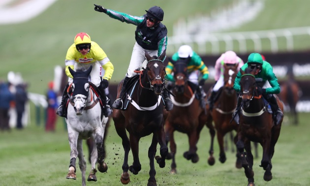 cheltenham tips
