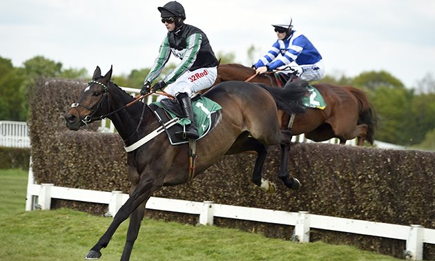 cheltenham news