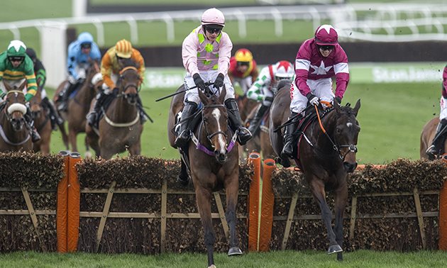 Gordon Elliott Keen On Champion Hurdle Tilt With Apple S Jade Champion Hurdle 2019 Cheltenham Festival