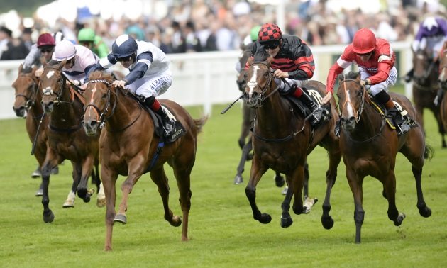 royal ascot tips