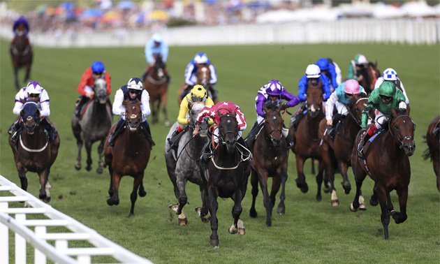 royal ascot tips