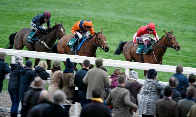 cheltenham tips