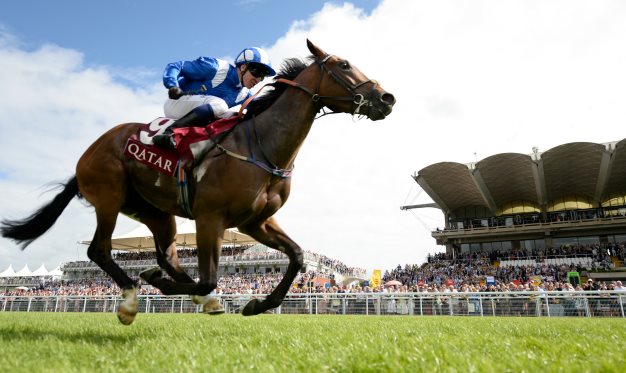 royal ascot news
