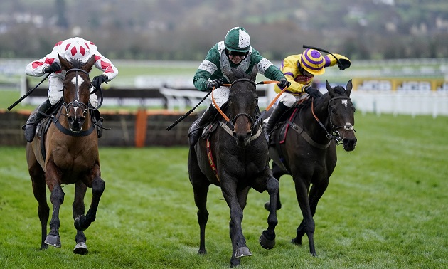 Cheltenham news