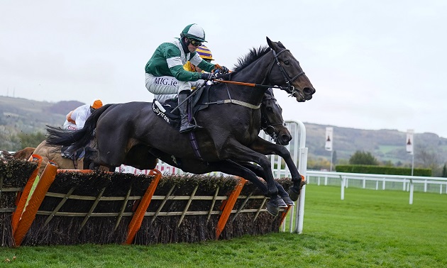 Cheltenham news