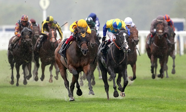 Royal Ascot news
