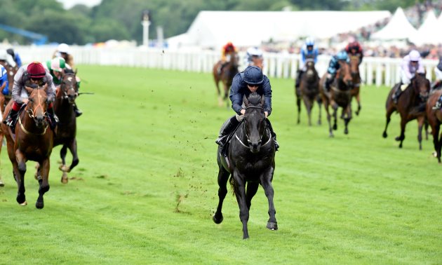 royal ascot tips