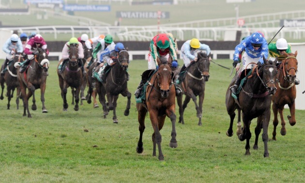 Cheltenham news