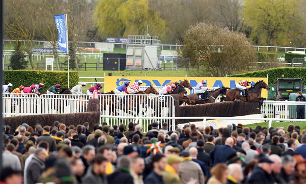 Cheltenham news