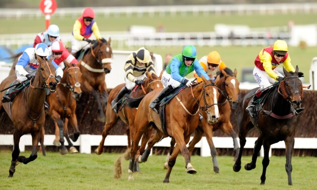 cheltenham tips