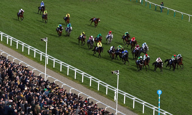 Cheltenham news