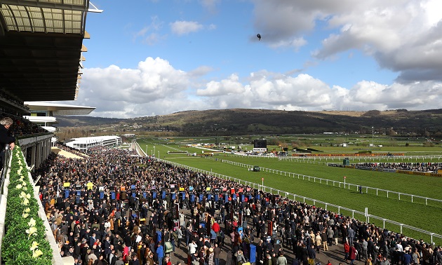 Cheltenham news
