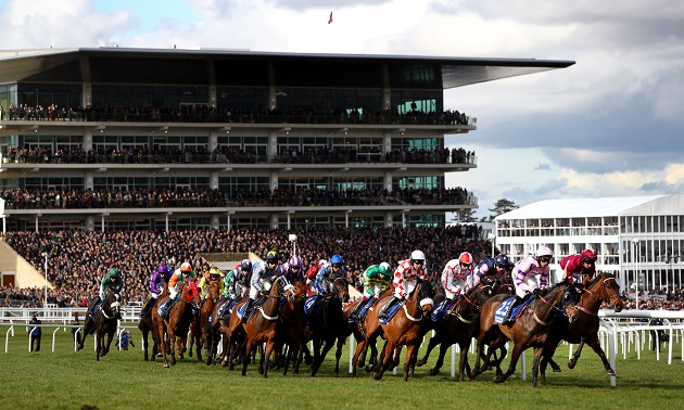 Cheltenham news